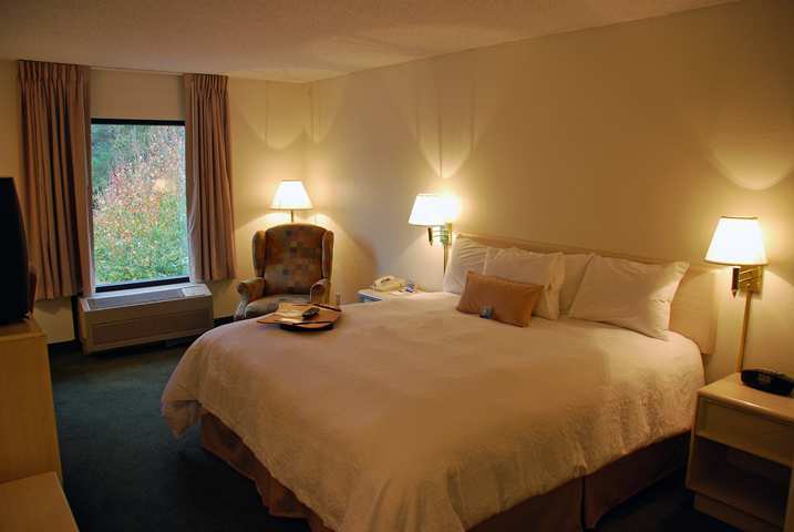 Jameson Inn Of The Golden Isles- Brunswick Habitación foto